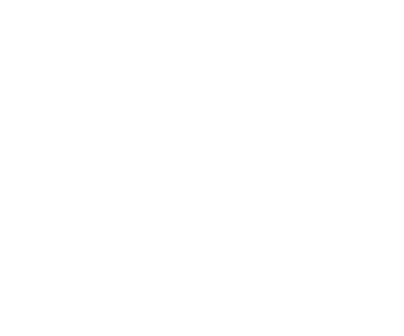 A poster showing a pine marten named Jake (AKA deleteyouremails).